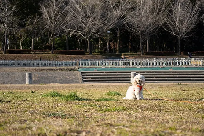 70-180mm F/2.8 Di III VXD